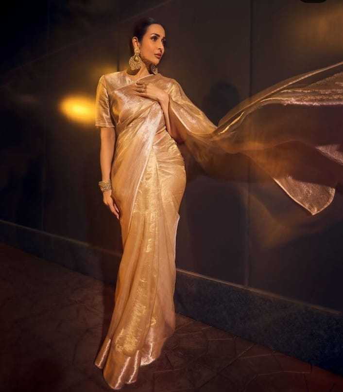 YNF TISSUE KESH131 Malaika Arora SAREES WHOLESALE TISSUE SILK MALAIKA ARORA ZARI SAREES MANUFACTURER- Kapda Export