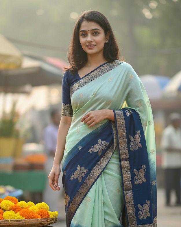 TRADITIONAL SILK SAREES