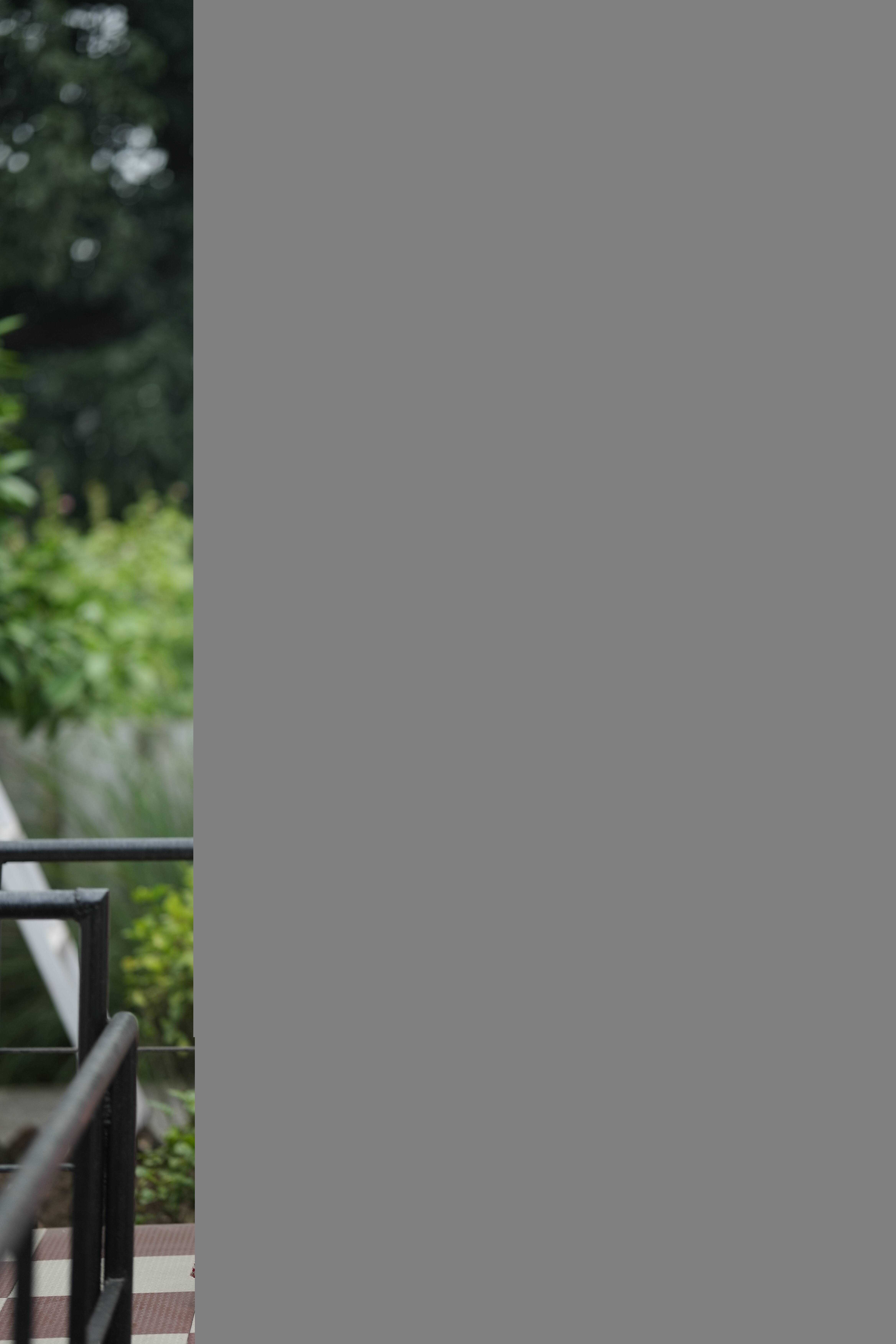 Ynf Banarasi Soft Silk RIN151 NC-5372 Sarees Wedding Collections Wholesale Fancy Sarees Mehendi Outfits Manufacturer- Kapda Export