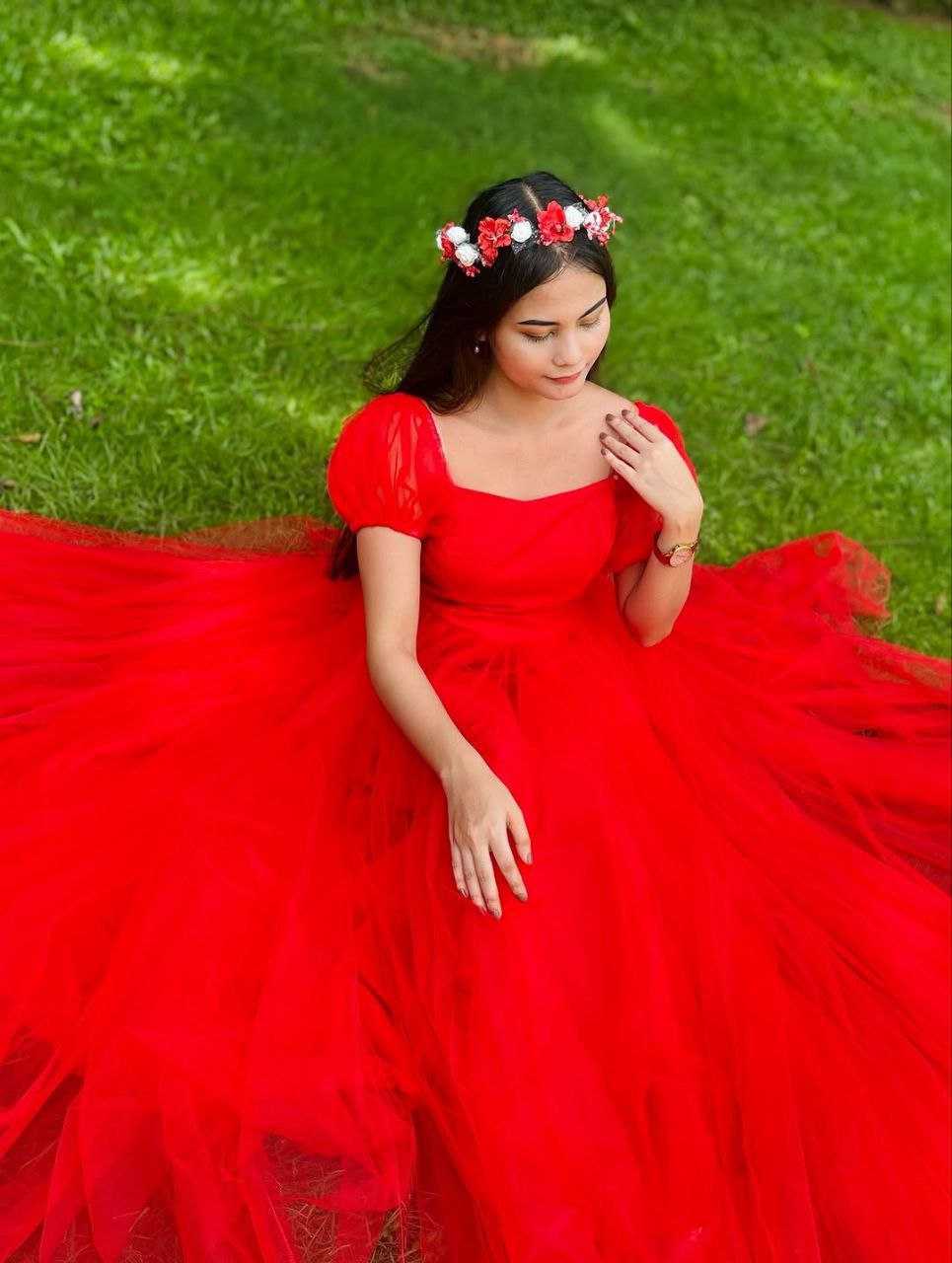 Ynf Soft Net RIN157 PC-2247 Gowns Wholesale Fancy Gowns Net Gowns Designer Gowns Manufacturer- Kapda Export