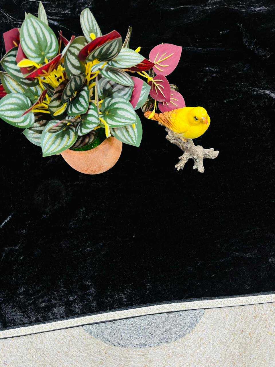 Ynf Velvet KESH621 Black Beauty Sarees Bollywood Collections Wholesale Party Wear Sarees Velvet Sarees Fatima Sana Shaikh Collections Manufacturer- Kapda Export