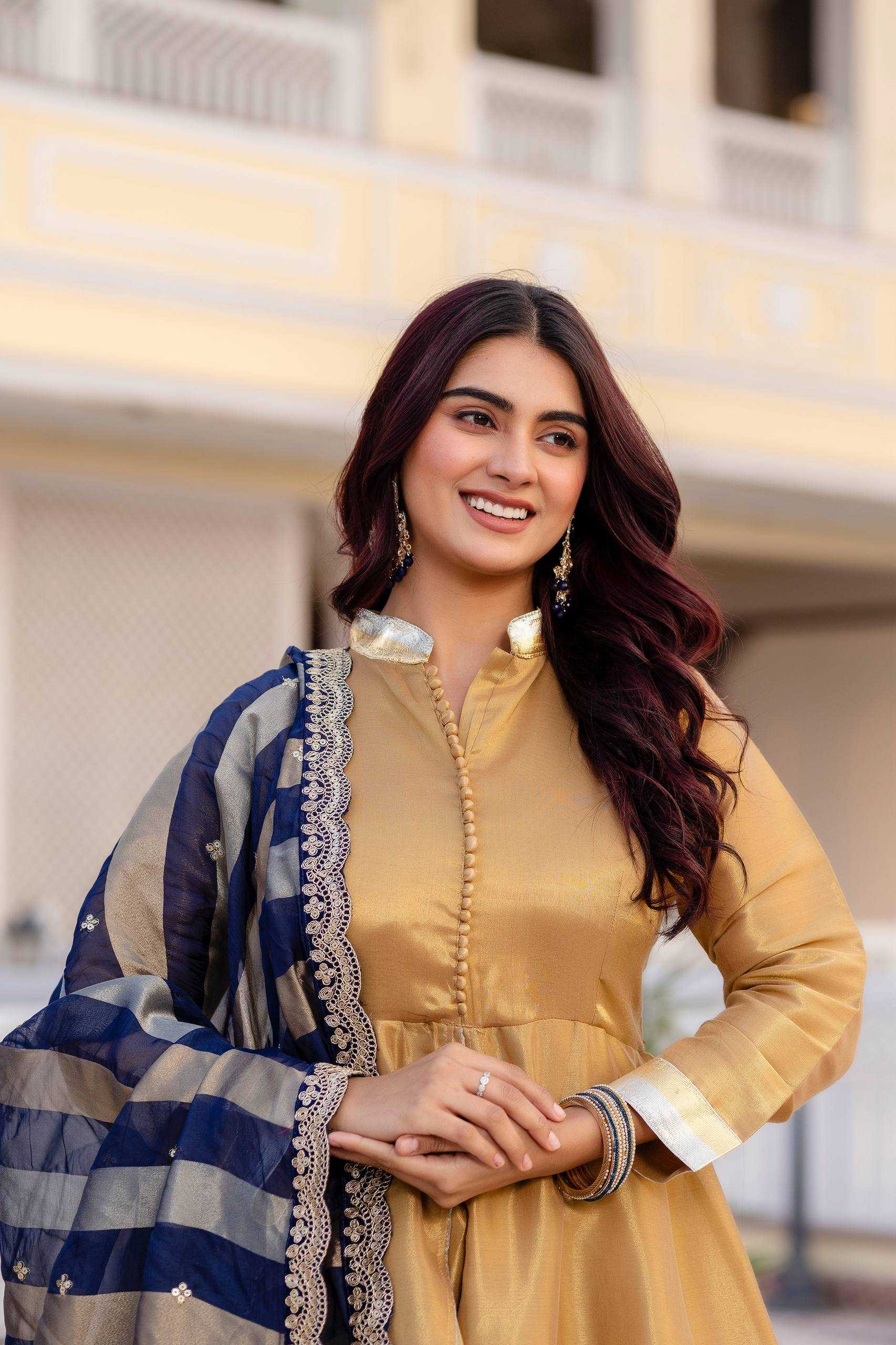 Ynf Banarasi Cotton RIN215 37 Gowns Wholesale Fancy Gowns Evening Gowns Party Wear Gowns Manufacturer- Kapda Export