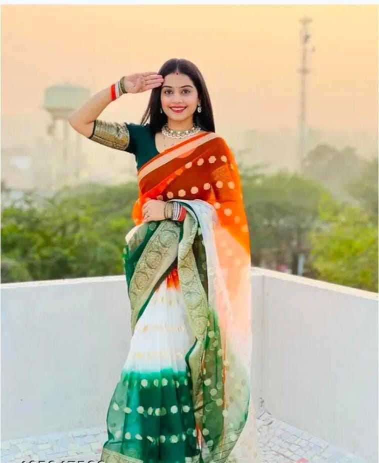 Ynf Organza KESH577 781 Sarees Festive Collections Wholesale Indian Sarees Republic Day Collections Independence Day Collections Manufacturer- Kapda Export